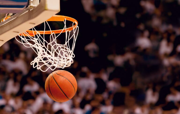 unc-charlotte-athletics-fan-guide